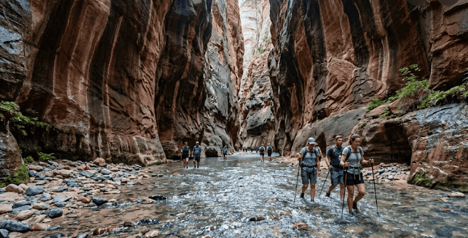Hikers wading through the Virgin River in The Narrows at Zion National Park
